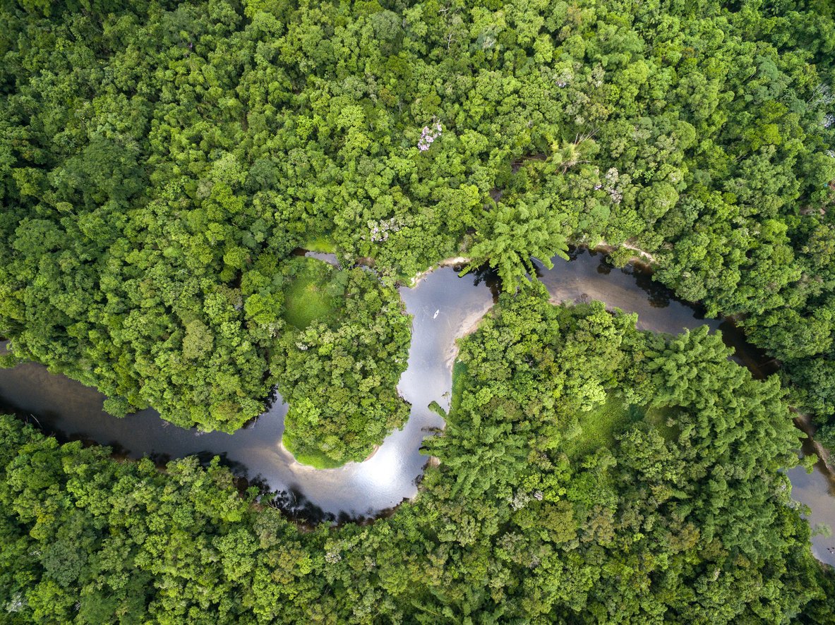 Collective action to preserve a Brazilian watershed ecosystem